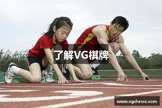 了解VG棋牌